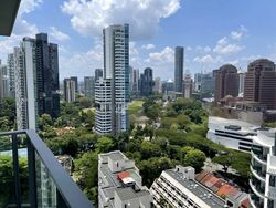 The Suites At Central (D9), Condominium #458116551